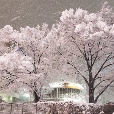 Image for school stuff songz