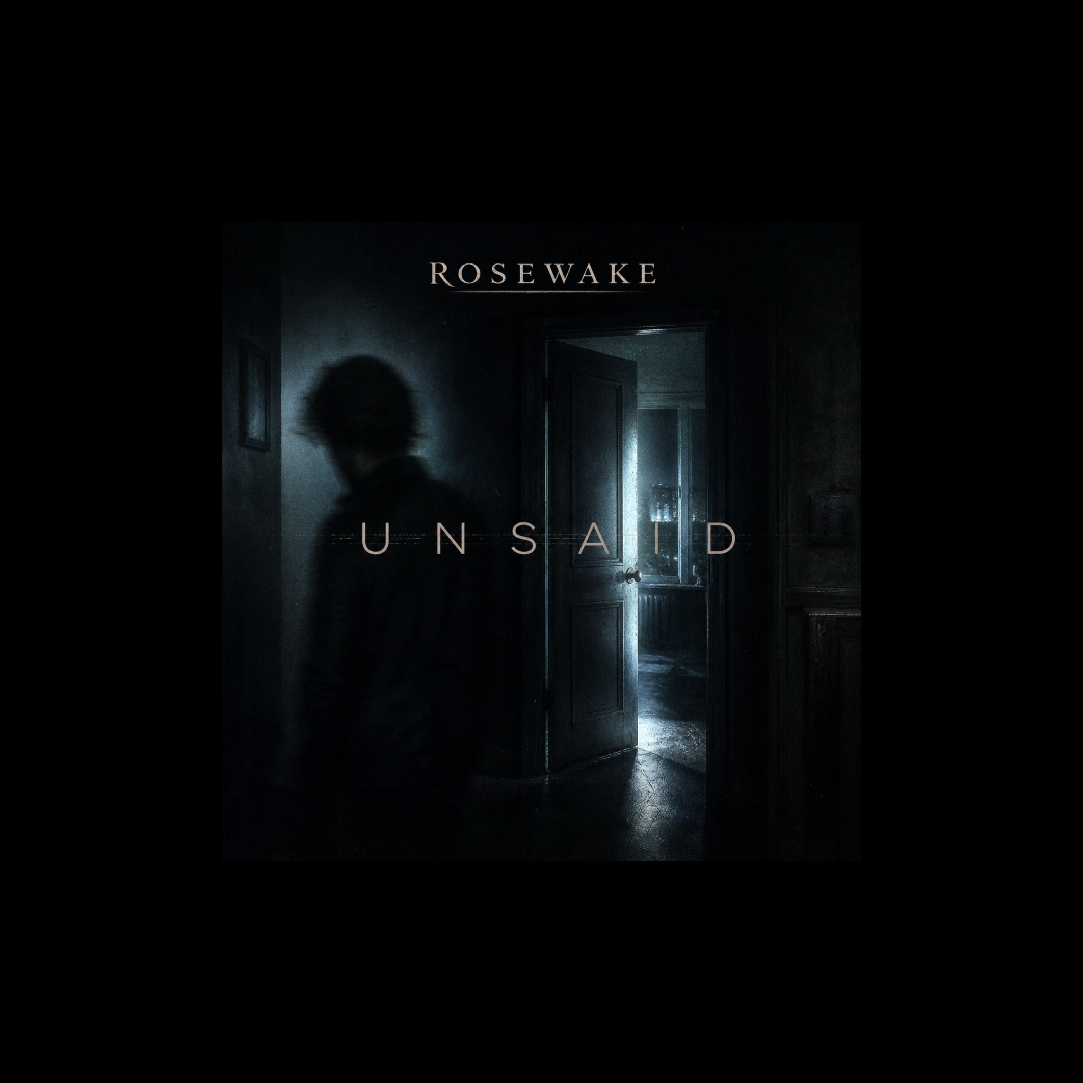 Unsaid artwork