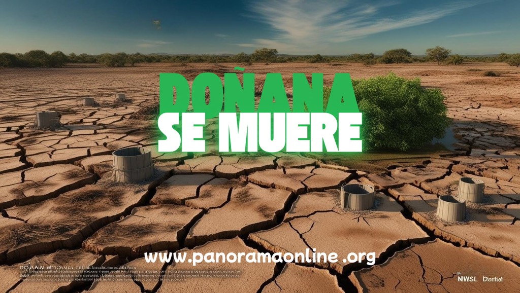 Doñana se muere artwork