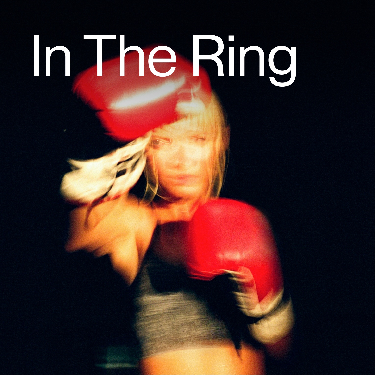 Image for In The Ring