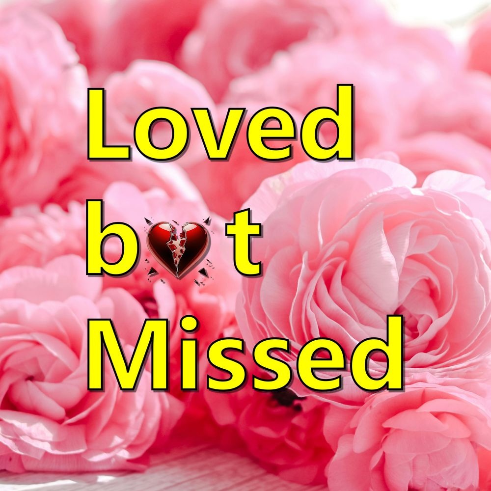 Image for 2️⃣Loved but Missed