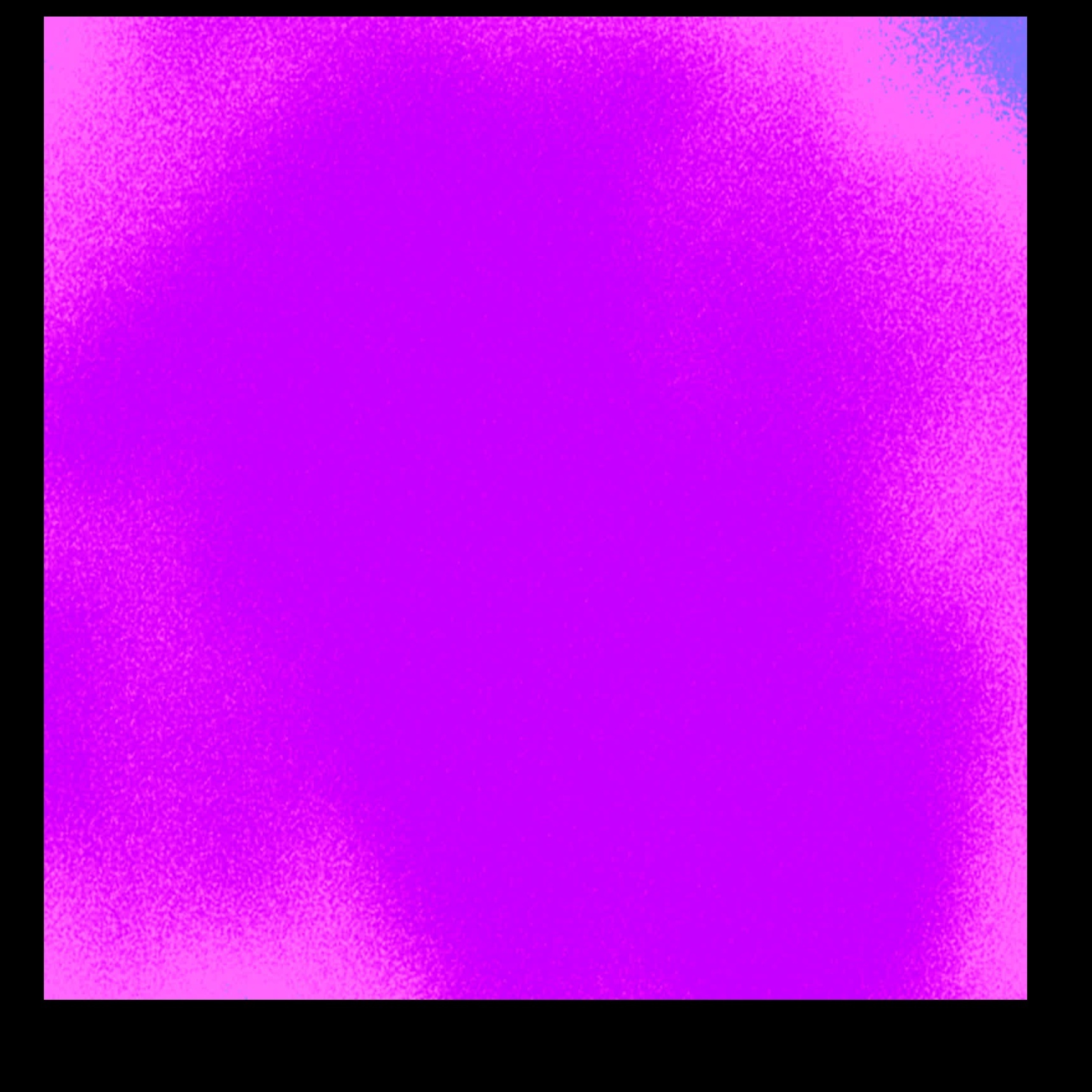 Image for The Nocturne Fam