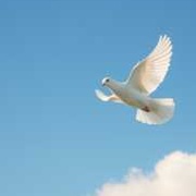 Image for Mom's Poems