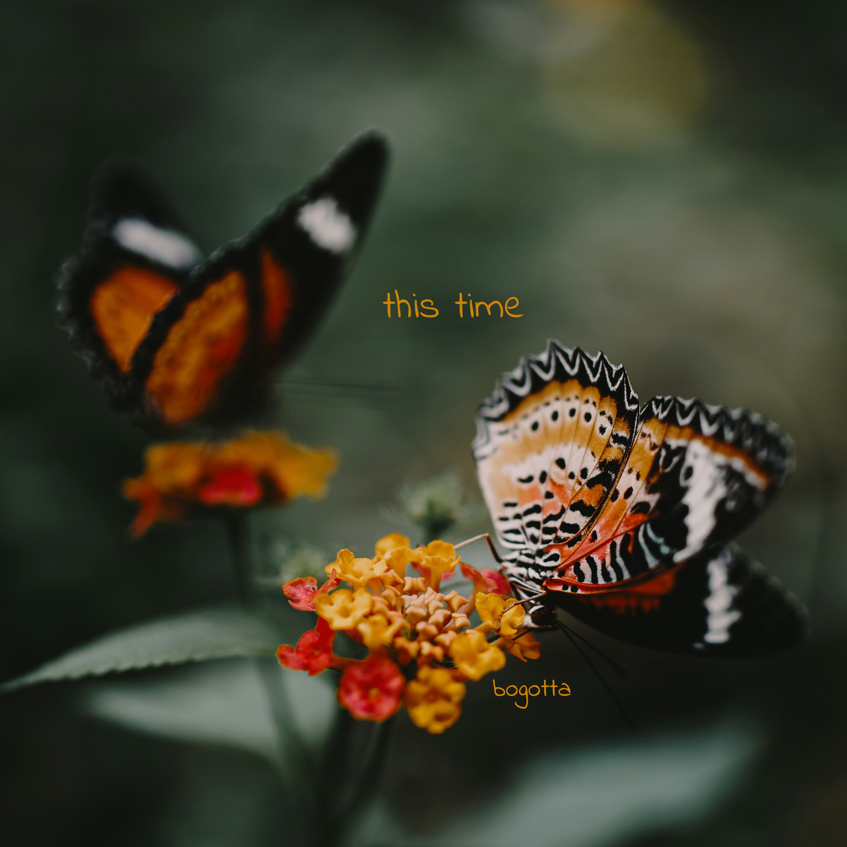 this Time artwork
