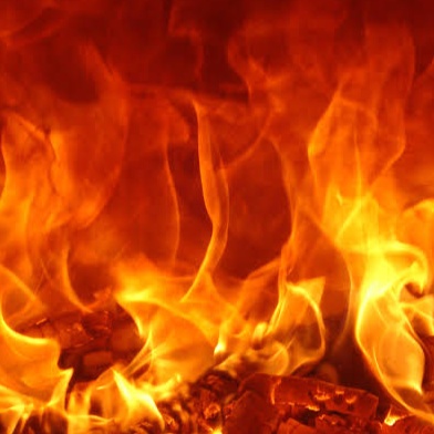 Image for November 2024