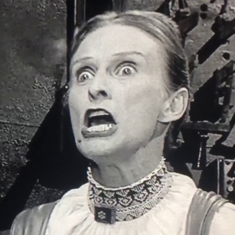 Image for Frau Blücher!