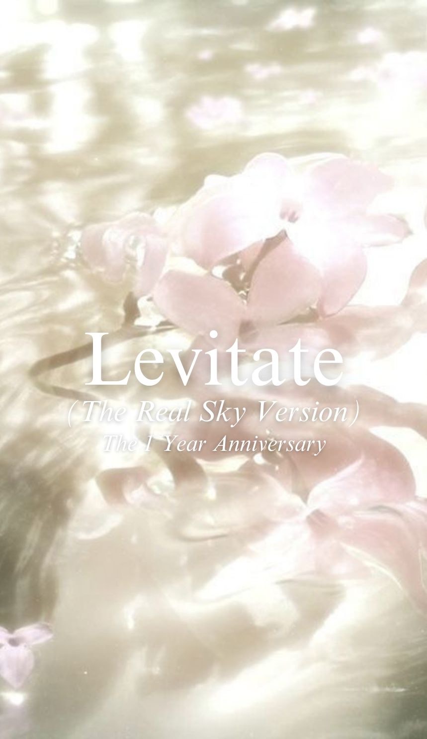 Image for Levitate (The Real Sky Version / The 1 Year Anniversary) 