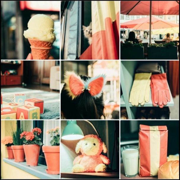 Image for Витрина понедельника