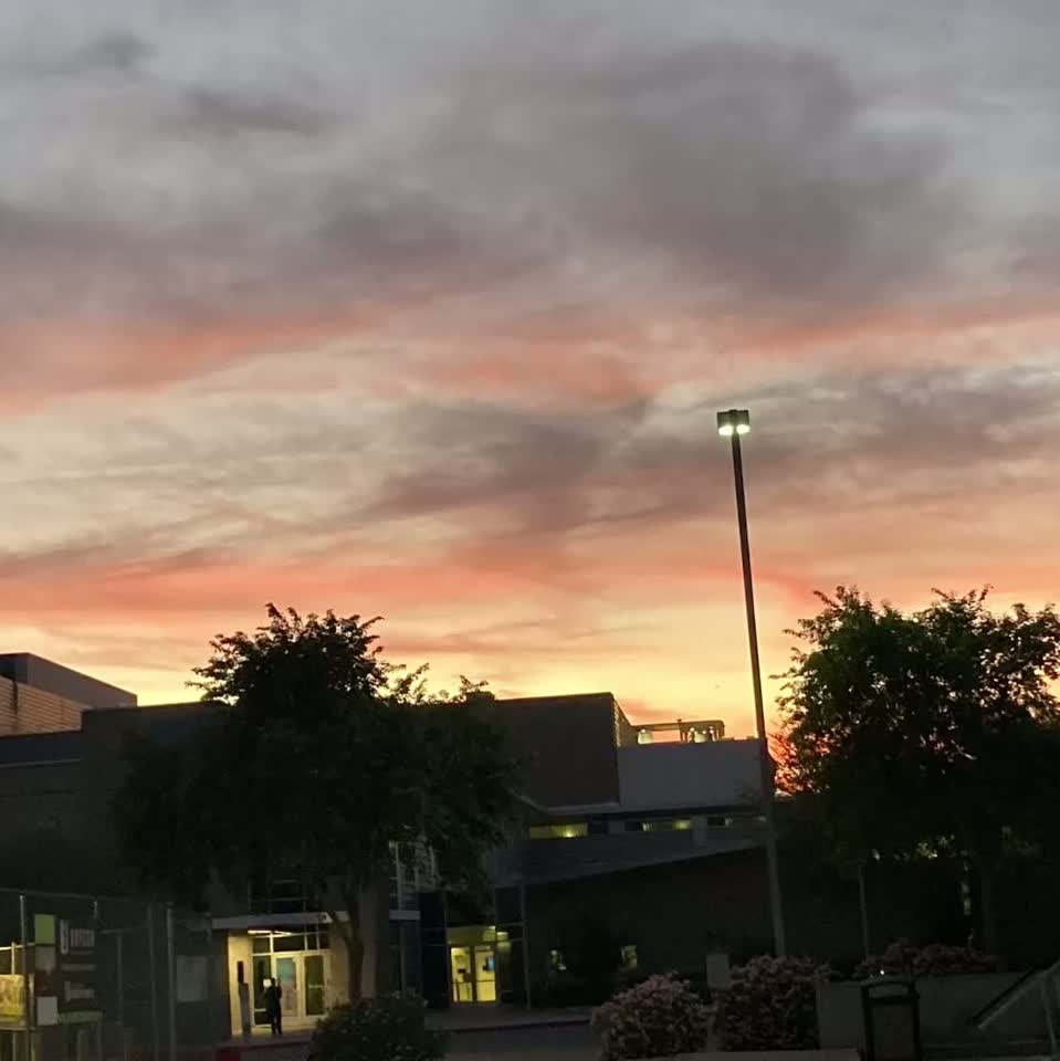 Image for Songs in French