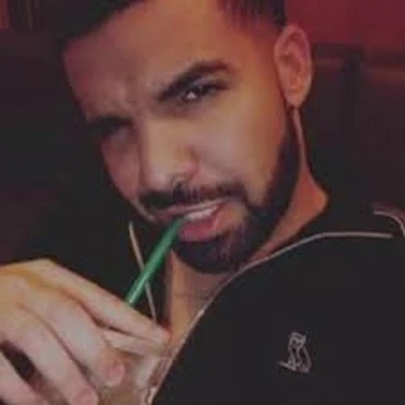 Drake artwork