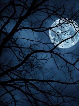 Night Noyze artwork