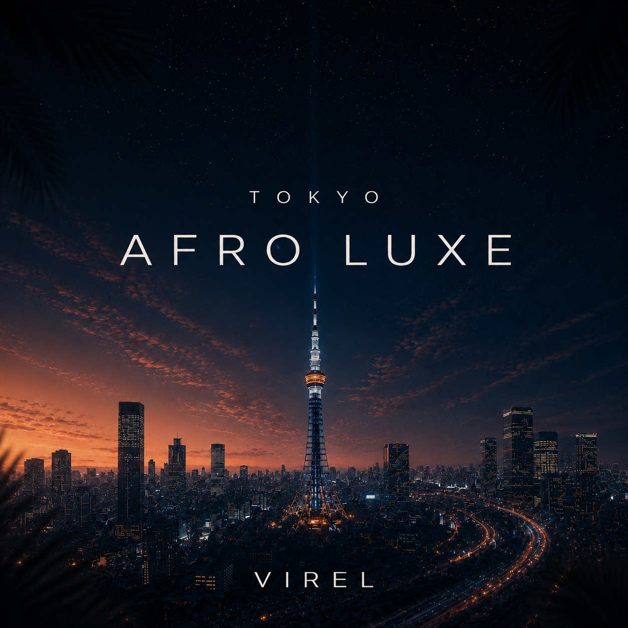 Tokyo Afro Luxe artwork