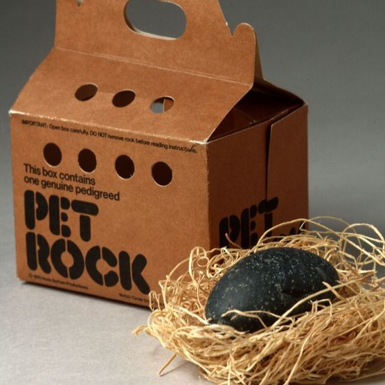 Pet Rock's Birthday artwork