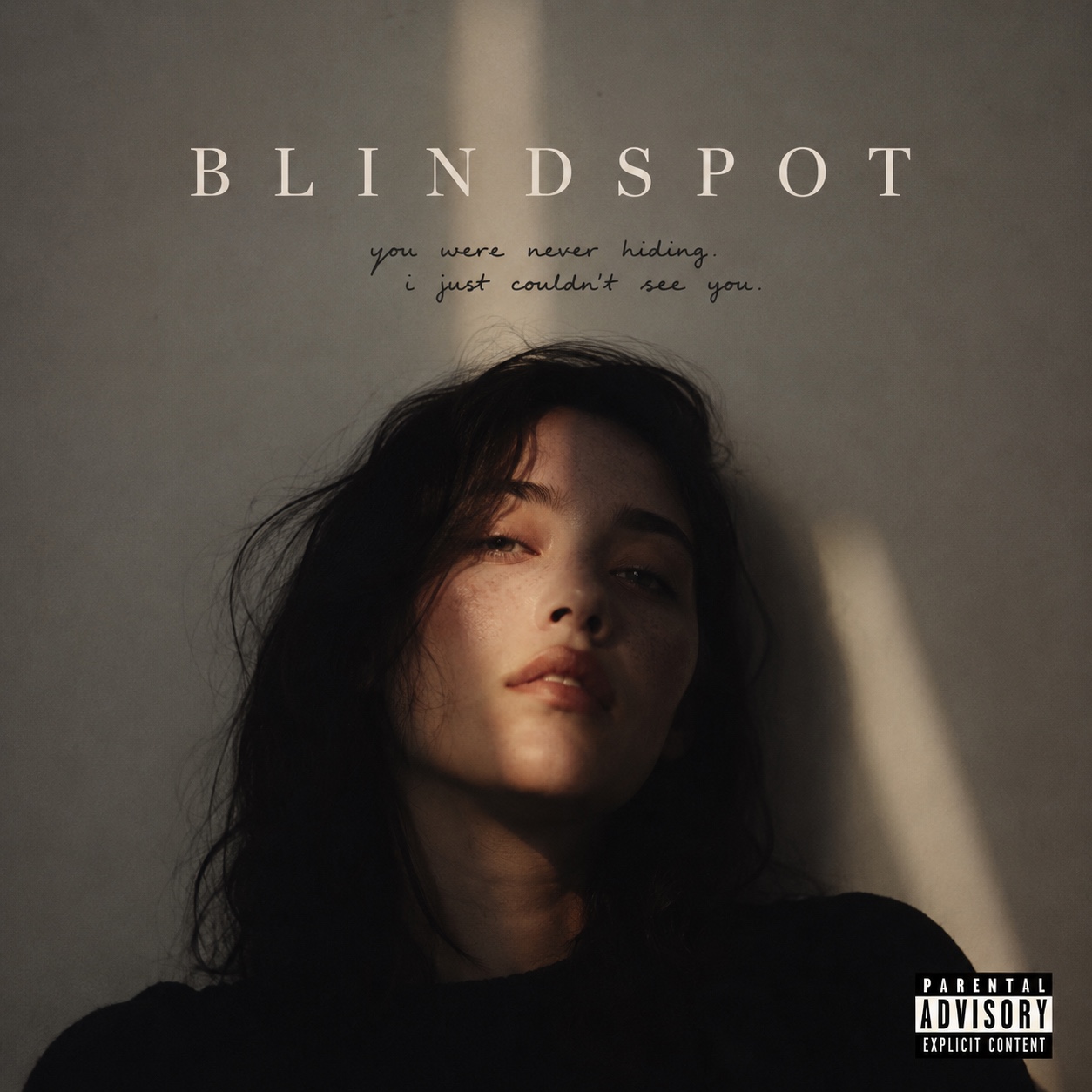 Blindspot artwork