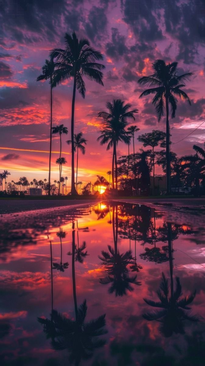 A. S. S: The Magic of the Evening Sky. 82 artwork
