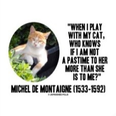 Image for The Nothing, The Nobody and the Cat - Recursions and Eulers Identity