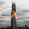 Beneath the Citadel | Half Life 2