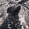 1945/08/06 08:15 Hiroshima ("Memory of Iron Rain" Remix)