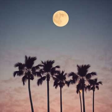 Image for L’Ombre et la Gloire