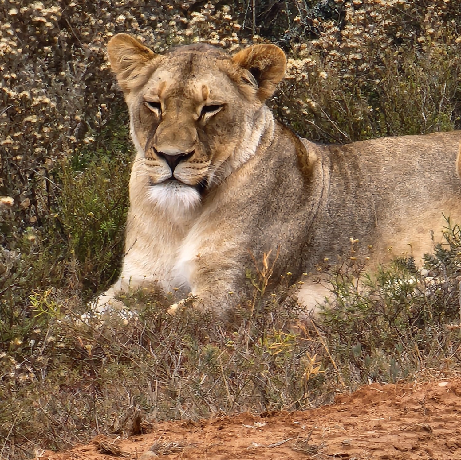 Image for 11 - Proctors