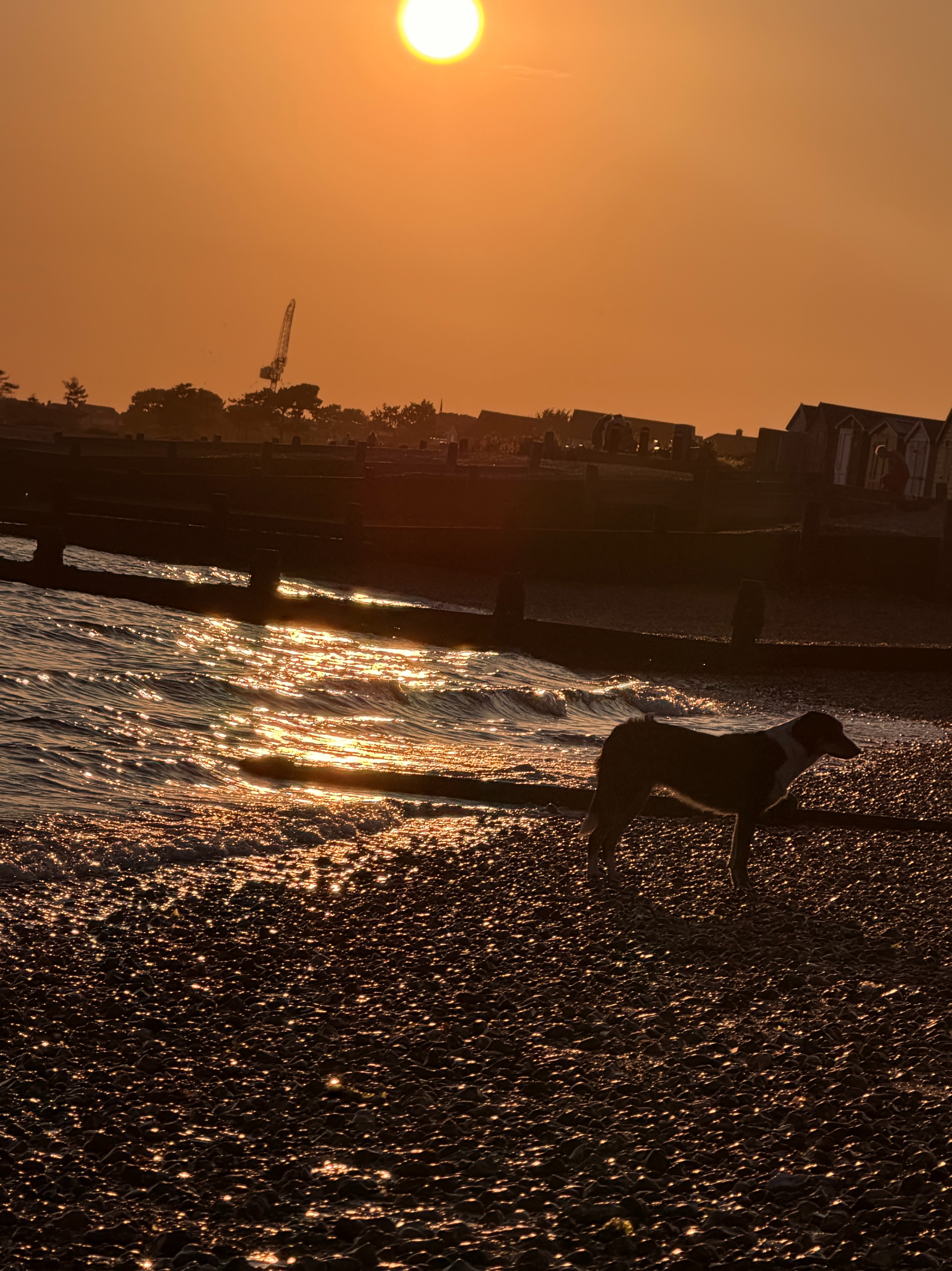The Dog at the Water artwork