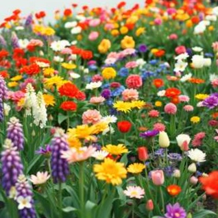 Image for Не мои стихи