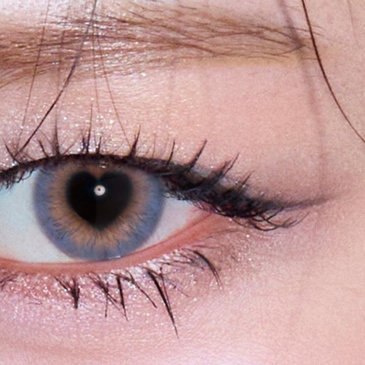 Image for Echoes of Us