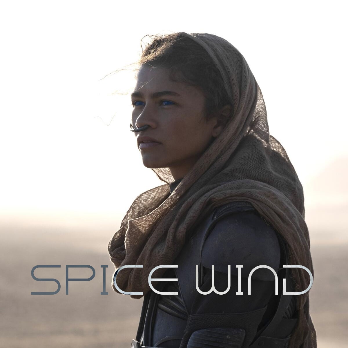 Spice Wind artwork