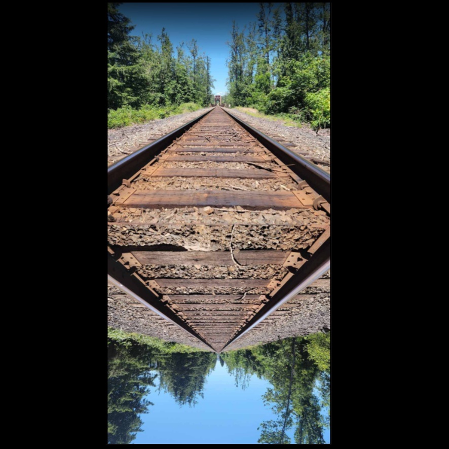 Image for The Other Versions