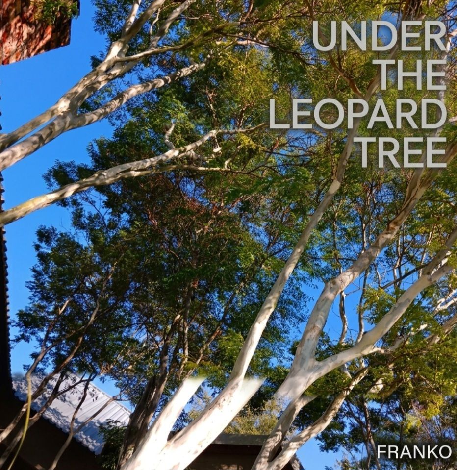 Under The Leopard Tree  (Remix) artwork