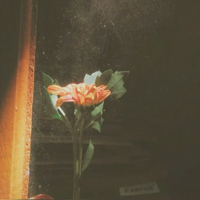 moments not memories