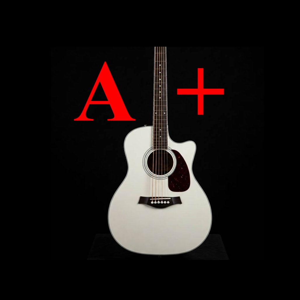 Persona image for great acoustic band sound 