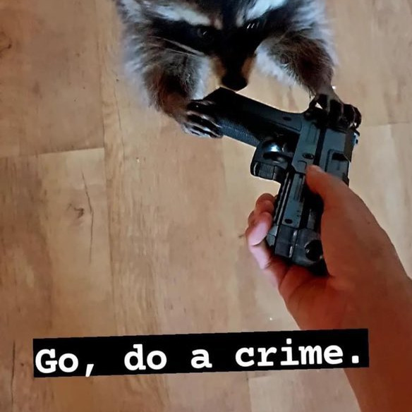 Cringe Criminal  (Sep 10 @ 3:26 PM) artwork