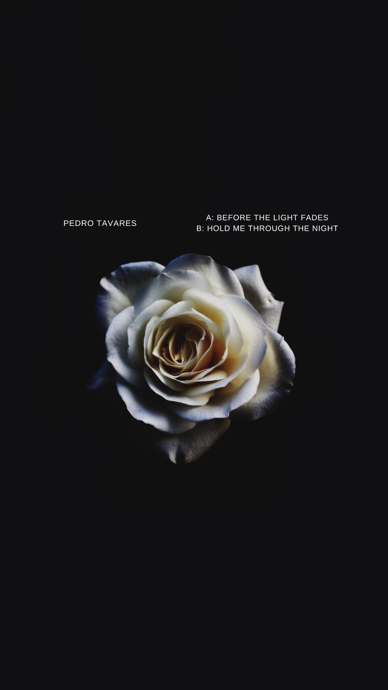 Image for Before The Light Fades