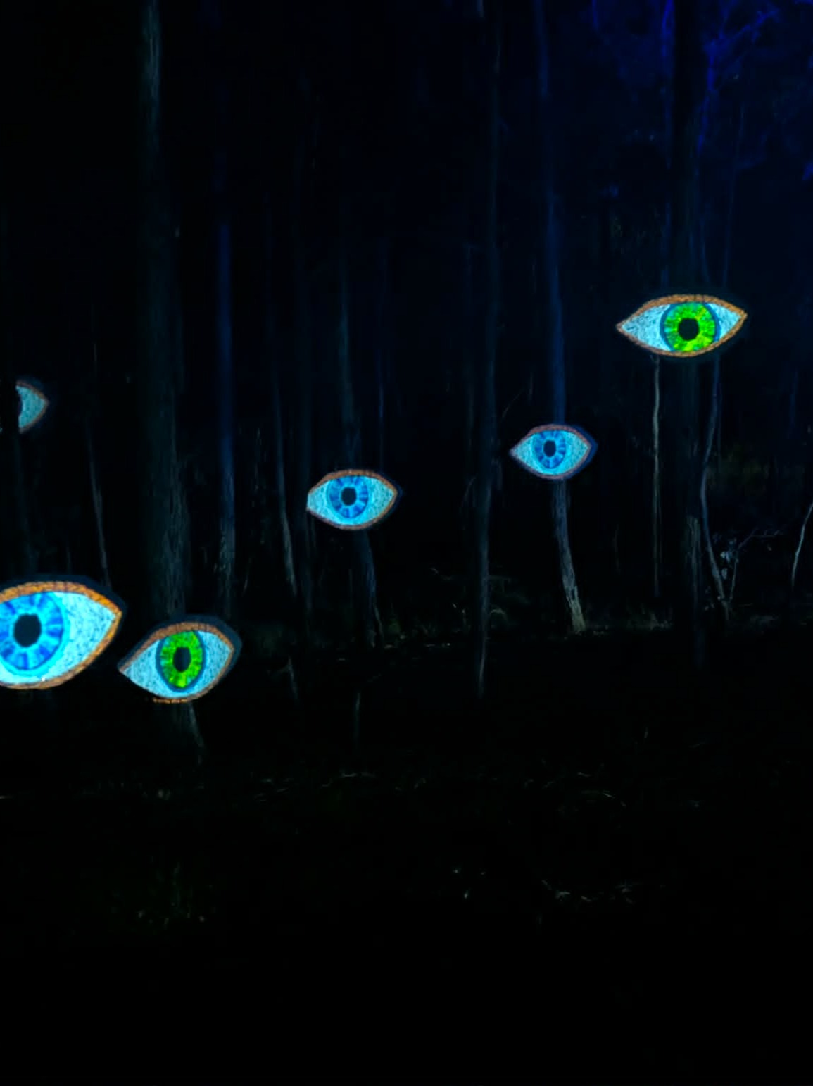 Laser Focused artwork