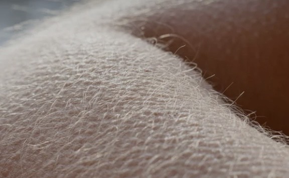 Goosebumps  And Chillz artwork