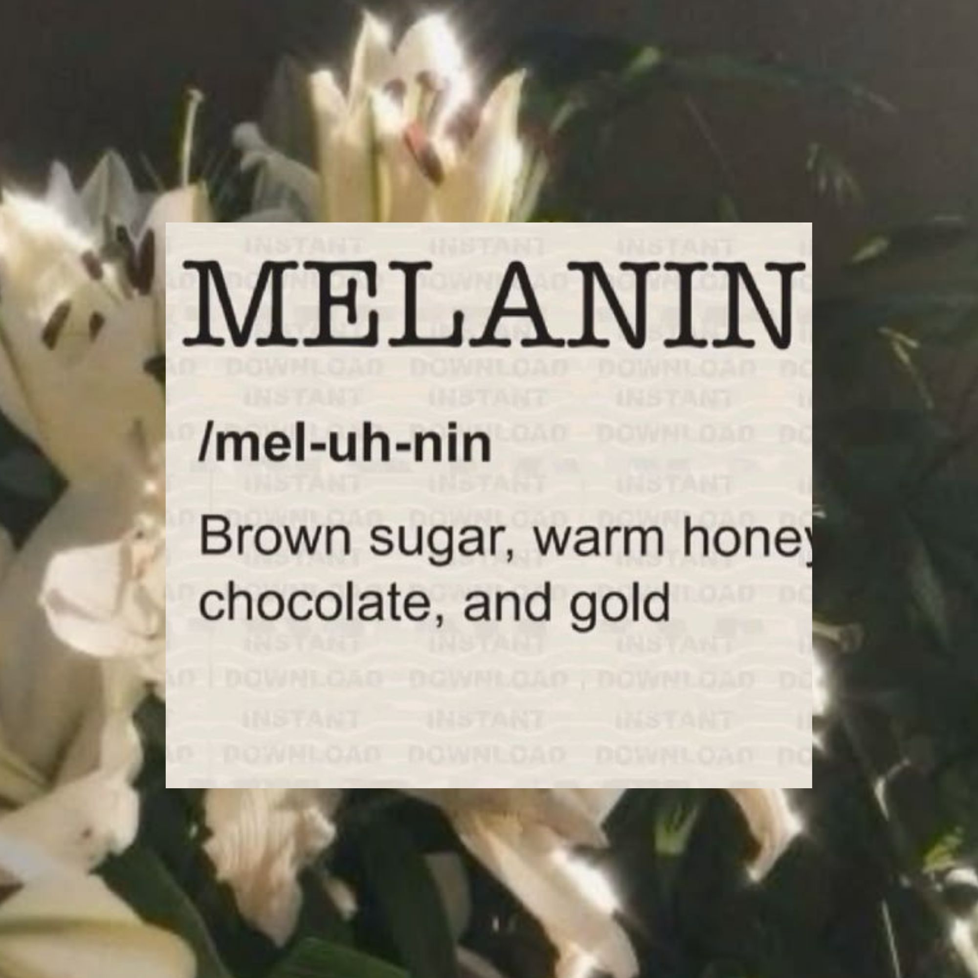 Melanin🍫♡٭◌◃:✮.˙˙⚜︎˚ artwork