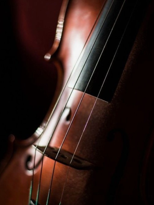 A girl from Ipanema (Violin ) artwork