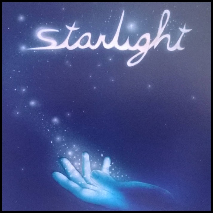 🇺🇸 ☆Starlight⭐彡 artwork