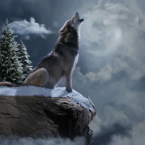 Image for Songs by Fernie