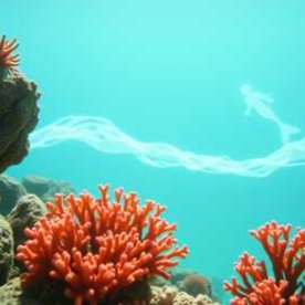 [Diving Into the Ocean Forest] Lyrics by SMY artwork