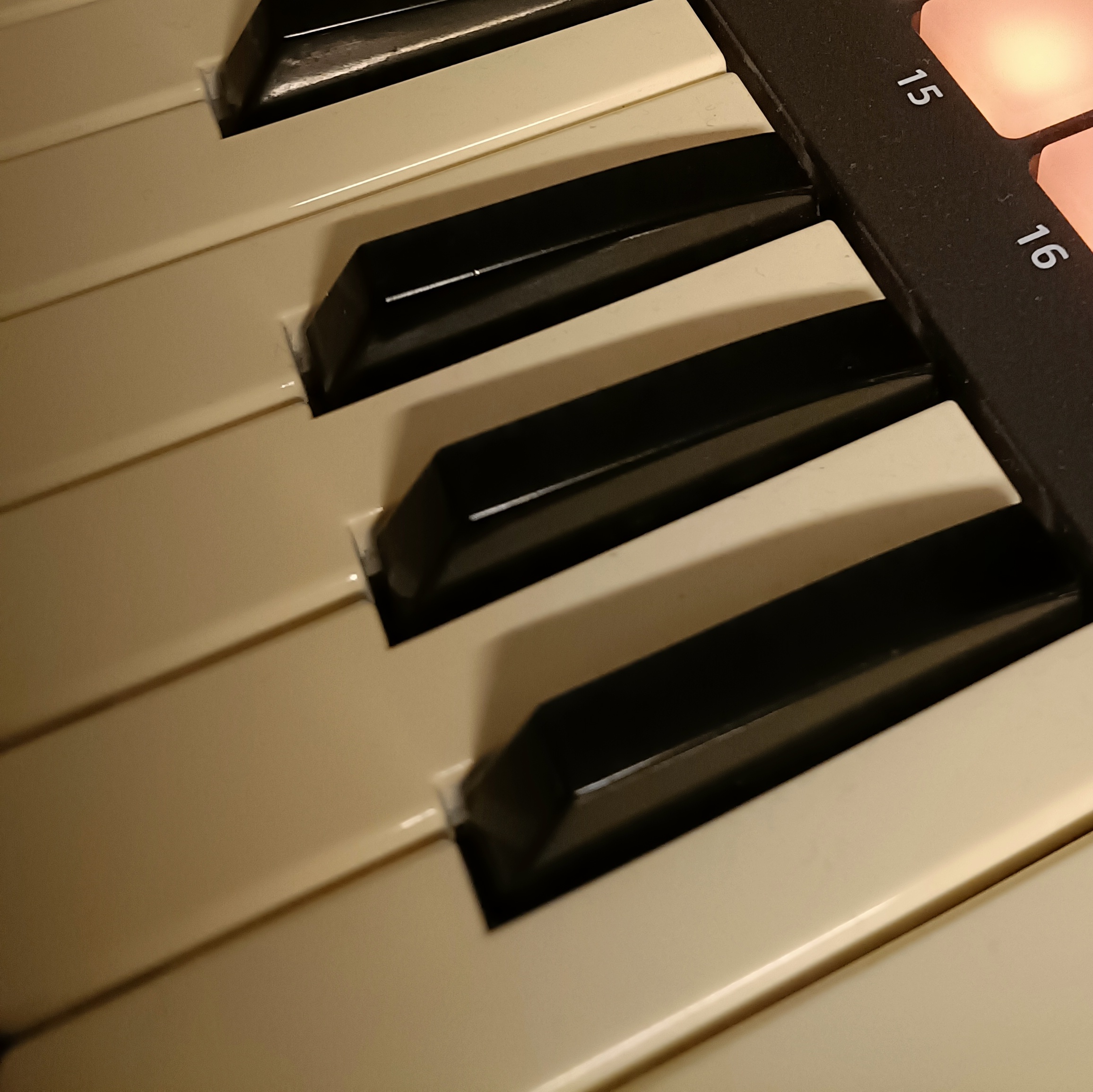 Image for The Piano Files