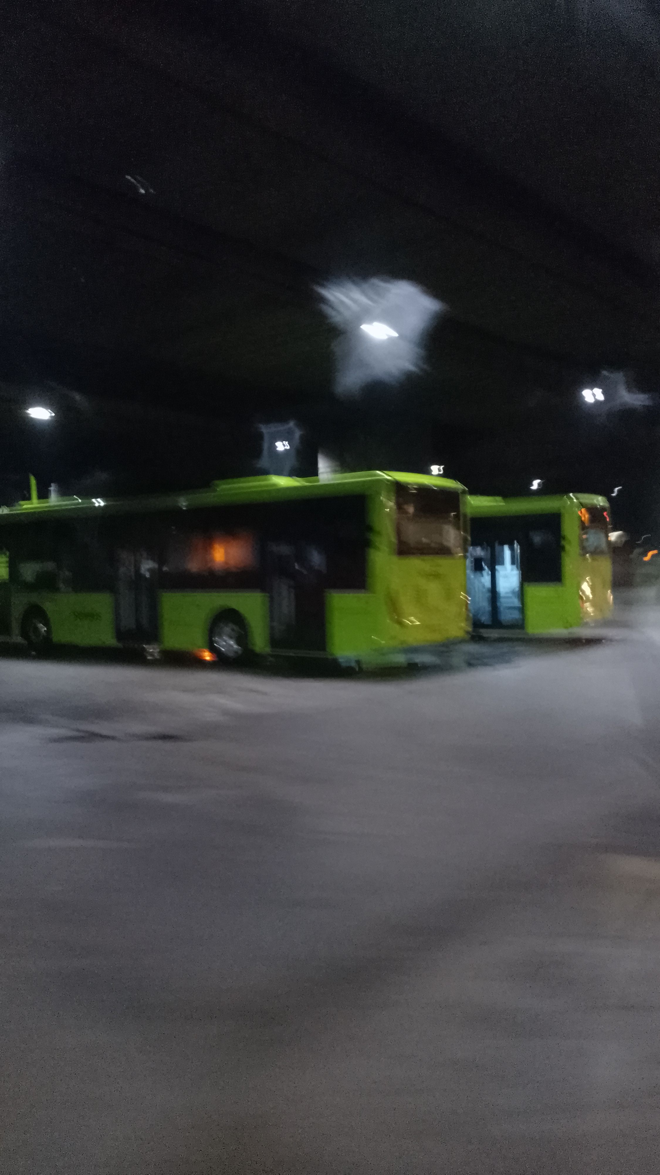 Image for Songs from scratch 