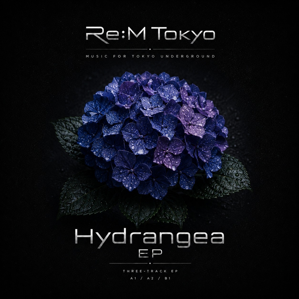 Hydrangea EP - Side A-2* artwork