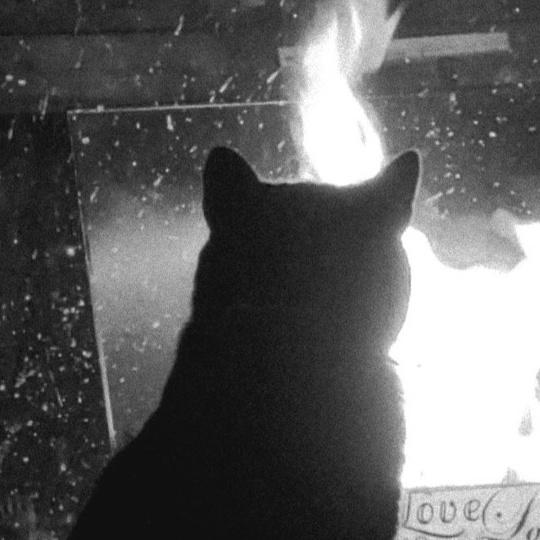 Image for CLEAN YOUR WINDOWS