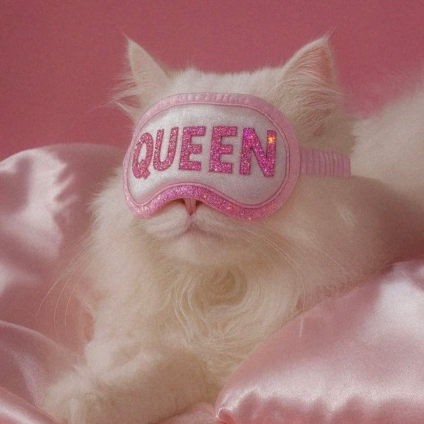 Image for Destined To Be