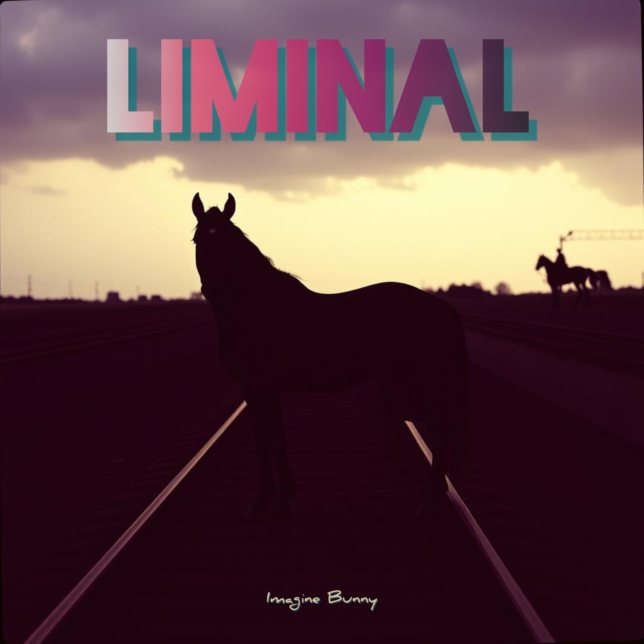 Image for Liminal