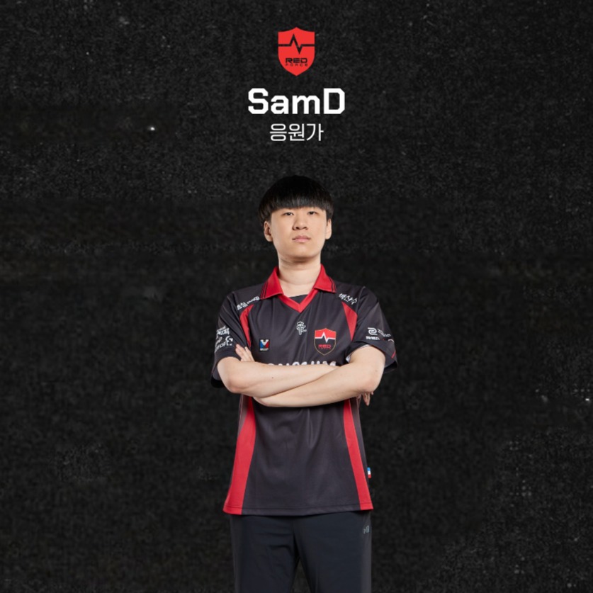 NS TFT SamD 응원가 artwork