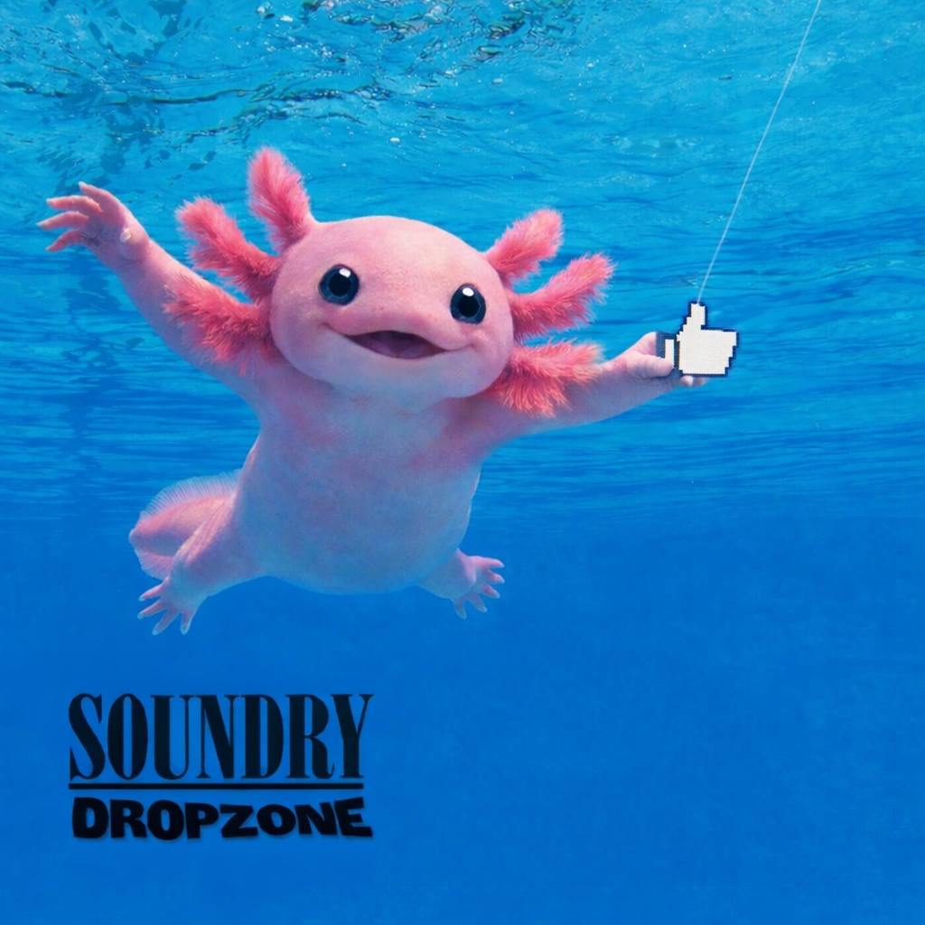 Image for The Soundry - Dropzone #29