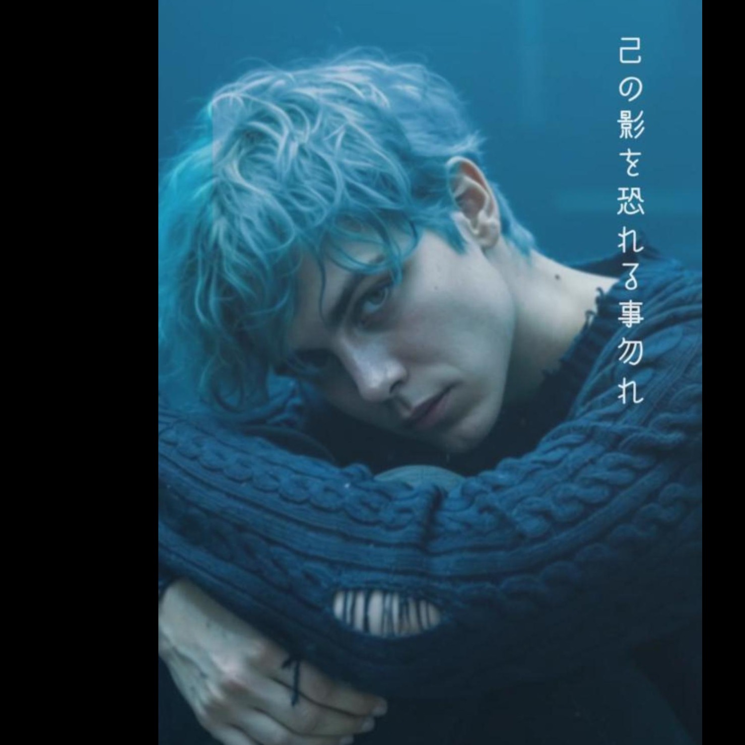 観測領域 artwork
